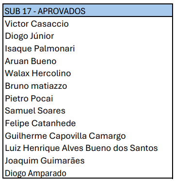 captura-de-tela-2025-02-17-183417