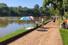 IMG_20230401_193248_952