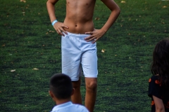 DSC_0650